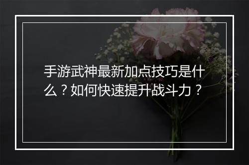 手游武神最新加点技巧是什么？如何快速提升战斗力？