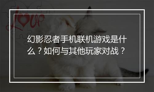幻影忍者手机联机游戏是什么？如何与其他玩家对战？