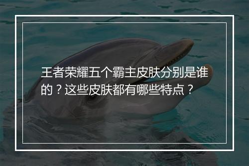 王者荣耀五个霸主皮肤分别是谁的？这些皮肤都有哪些特点？