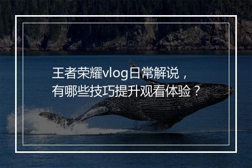 王者荣耀vlog日常解说，有哪些技巧提升观看体验？