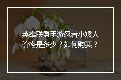 英雄联盟手游忍者小矮人价格是多少？如何购买？