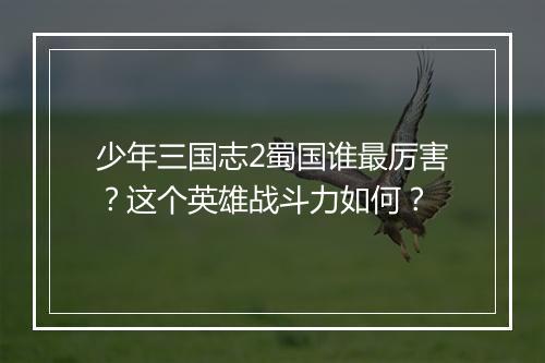少年三国志2蜀国谁最厉害？这个英雄战斗力如何？