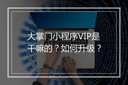 大掌门小程序VIP是干嘛的？如何升级？