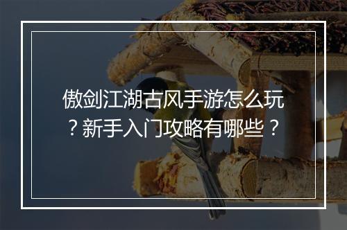 傲剑江湖古风手游怎么玩？新手入门攻略有哪些？