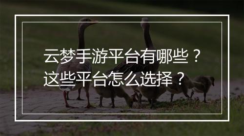 云梦手游平台有哪些？这些平台怎么选择？