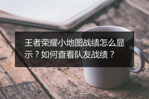 王者荣耀小地图战绩怎么显示？如何查看队友战绩？
