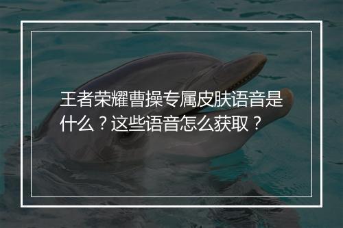 王者荣耀曹操专属皮肤语音是什么？这些语音怎么获取？