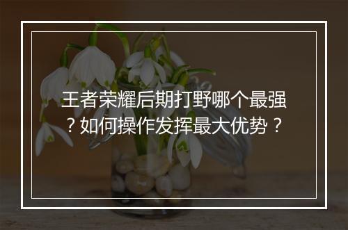 王者荣耀后期打野哪个最强？如何操作发挥最大优势？