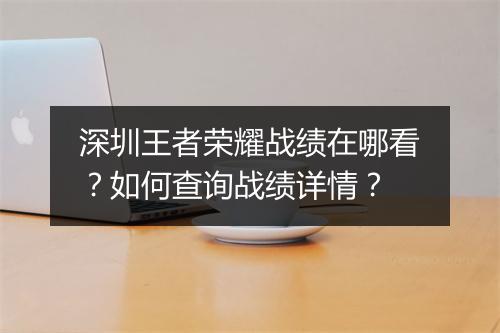 深圳王者荣耀战绩在哪看?如何查询战绩详情?