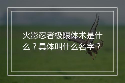 火影忍者极限体术是什么？具体叫什么名字？