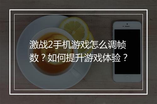 激战2手机游戏怎么调帧数？如何提升游戏体验？
