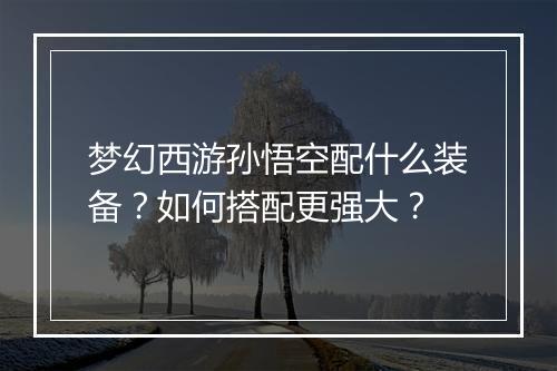 梦幻西游孙悟空配什么装备?如何搭配更强大?
