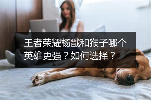王者荣耀杨戬和猴子哪个英雄更强？如何选择？