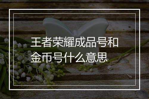 王者荣耀成品号和金币号什么意思
