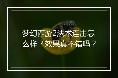 梦幻西游2法术连击怎么样?效果真不错吗?