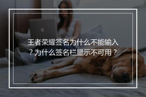 王者荣耀签名为什么不能输入？为什么签名栏显示不可用？