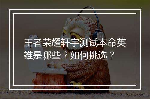 王者荣耀轩宇测试本命英雄是哪些？如何挑选？