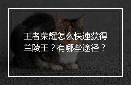 王者荣耀怎么快速获得兰陵王？有哪些途径？