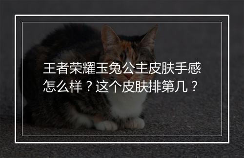 王者荣耀玉兔公主皮肤手感怎么样？这个皮肤排第几？