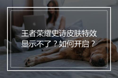 王者荣耀史诗皮肤特效显示不了？如何开启？