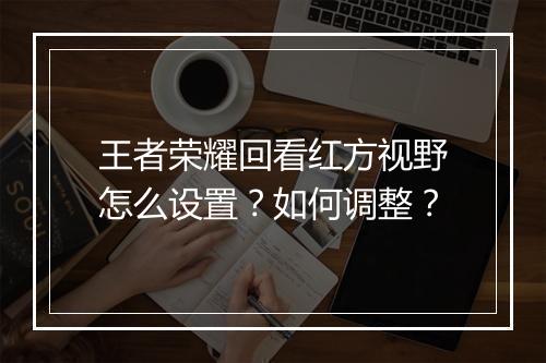 王者荣耀回看红方视野怎么设置？如何调整？