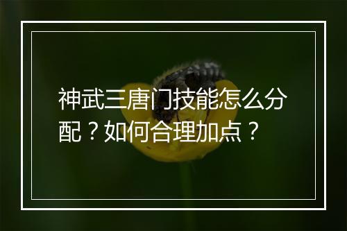 神武三唐门技能怎么分配？如何合理加点？