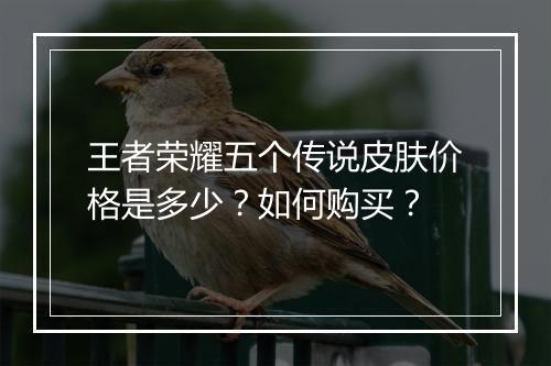 王者荣耀五个传说皮肤价格是多少？如何购买？