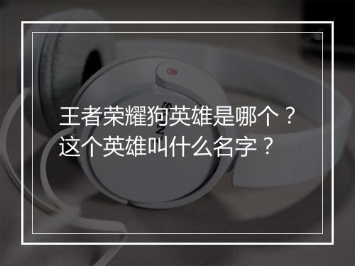 王者荣耀狗英雄是哪个？这个英雄叫什么名字？