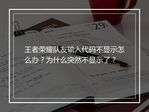 王者荣耀队友输入代码不显示怎么办？为什么突然不显示了？