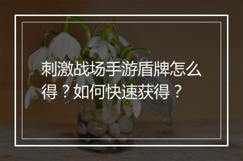 刺激战场手游盾牌怎么得？如何快速获得？