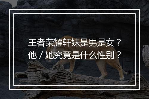 王者荣耀轩妹是男是女？他／她究竟是什么性别？