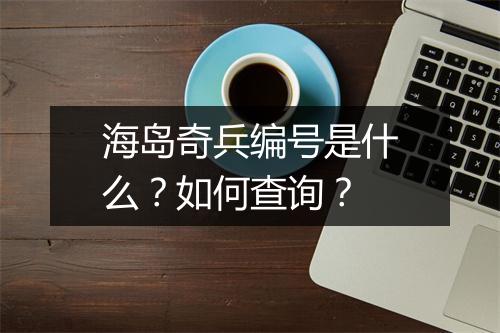 海岛奇兵编号是什么？如何查询？