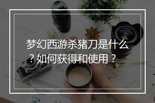 梦幻西游杀猪刀是什么?如何获得和使用?