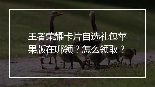 王者荣耀卡片自选礼包苹果版在哪领？怎么领取？