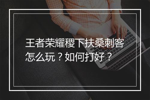 王者荣耀稷下扶桑刺客怎么玩？如何打好？