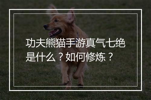 功夫熊猫手游真气七绝是什么?如何修炼?