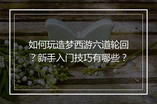 如何玩造梦西游六道轮回？新手入门技巧有哪些？