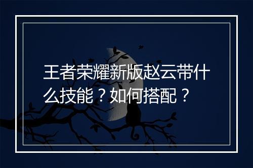 王者荣耀新版赵云带什么技能？如何搭配？