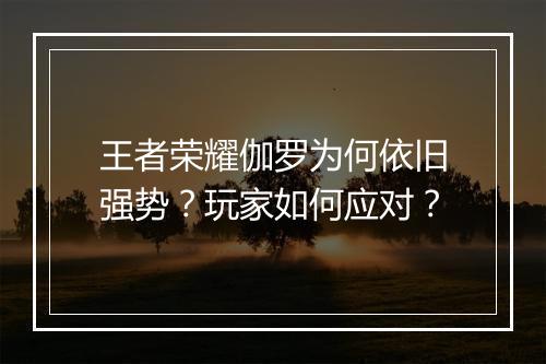 王者荣耀伽罗为何依旧强势？玩家如何应对？