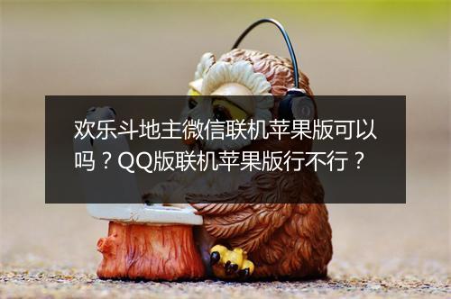 欢乐斗地主微信联机苹果版可以吗？QQ版联机苹果版行不行？