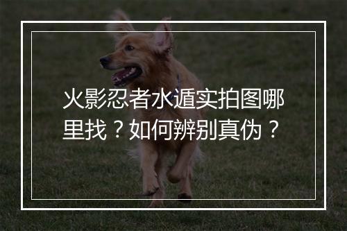 火影忍者水遁实拍图哪里找?如何辨别真伪?