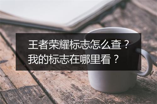王者荣耀标志怎么查？我的标志在哪里看？