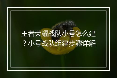 王者荣耀战队小号怎么建？小号战队组建步骤详解