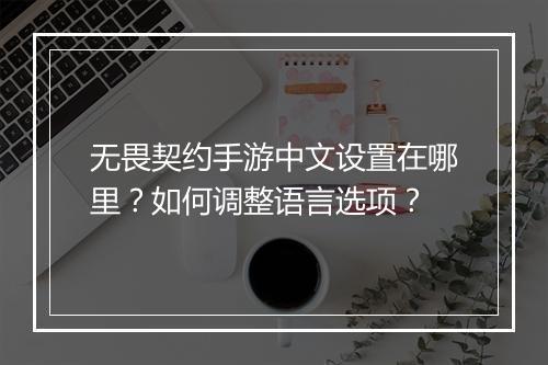 无畏契约手游中文设置在哪里？如何调整语言选项？