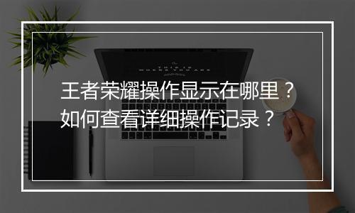 王者荣耀操作显示在哪里？如何查看详细操作记录？