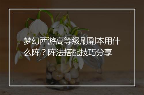 梦幻西游高等级刷副本用什么阵？阵法搭配技巧分享
