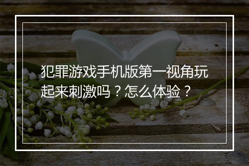 犯罪游戏手机版第一视角玩起来刺激吗？怎么体验？