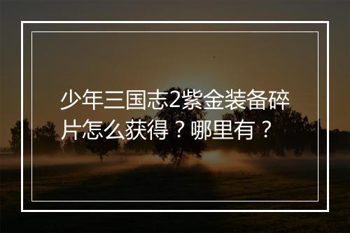 少年三国志2紫金装备碎片怎么获得？哪里有？