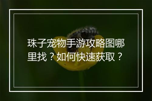 珠子宠物手游攻略图哪里找？如何快速获取？