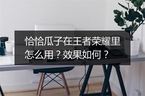 恰恰瓜子在王者荣耀里怎么用?效果如何?